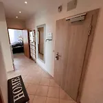Apartament Penthouse - Panorama - Hohegeiss *